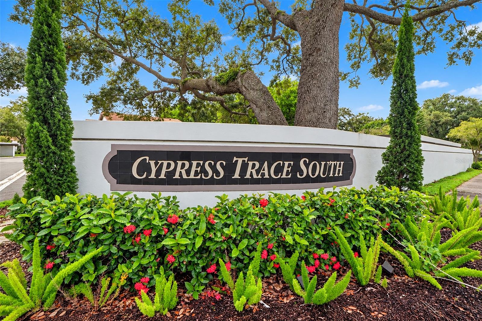1817 CYPRESS TRACE DR — photo 29