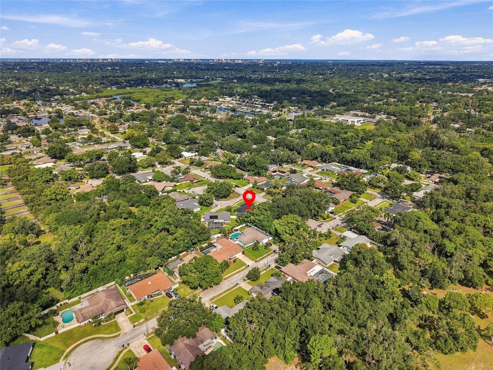 2259 EL DE ORO CIR — photo 47