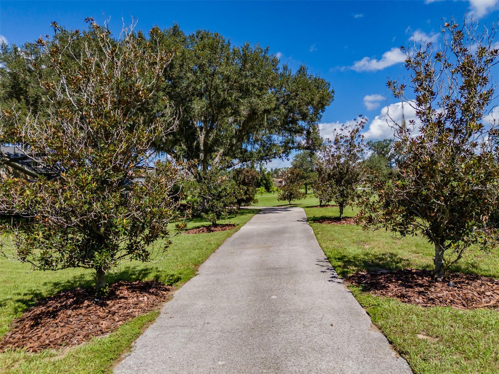 10501 BROADLAND PASS — photo 80