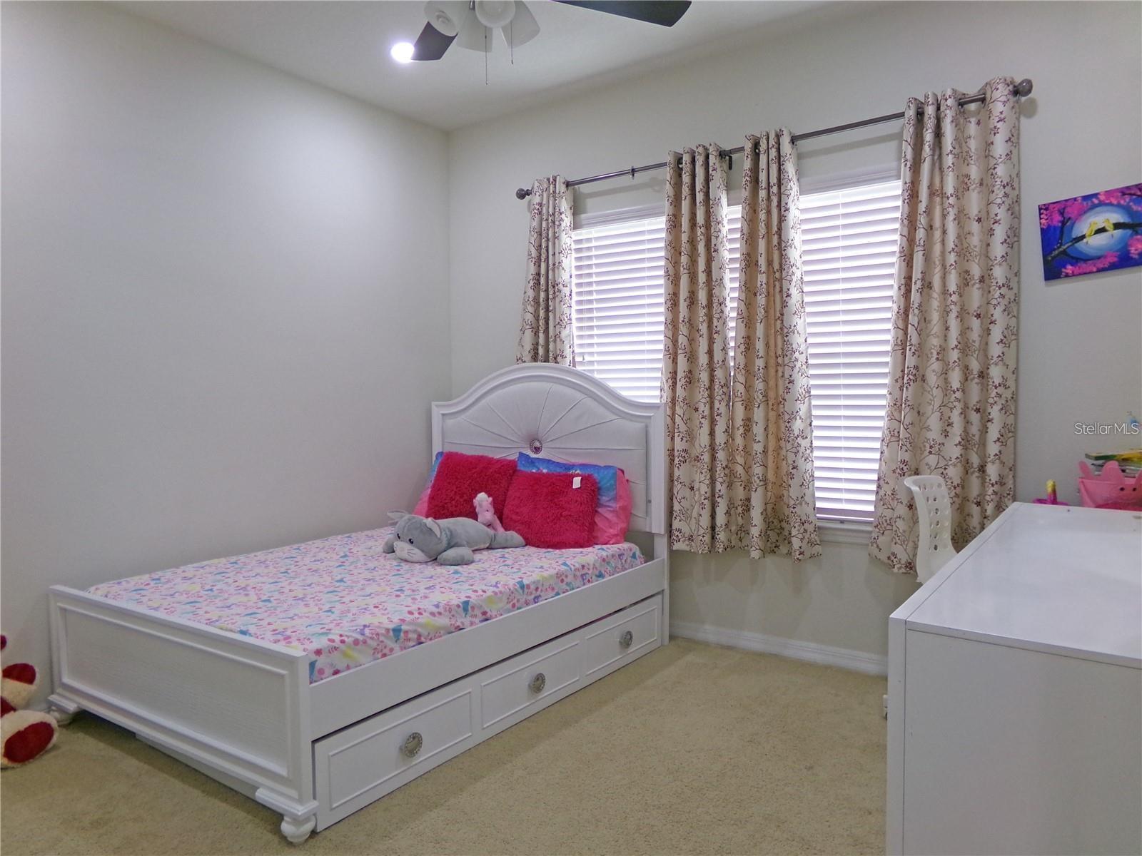 5941 CALDERA RIDGE DR — photo 21