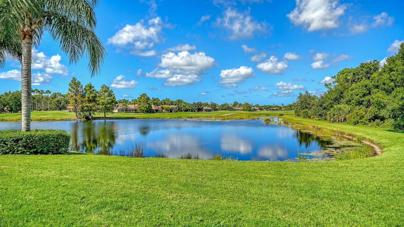 6734 PEBBLE BEACH WAY — photo 34