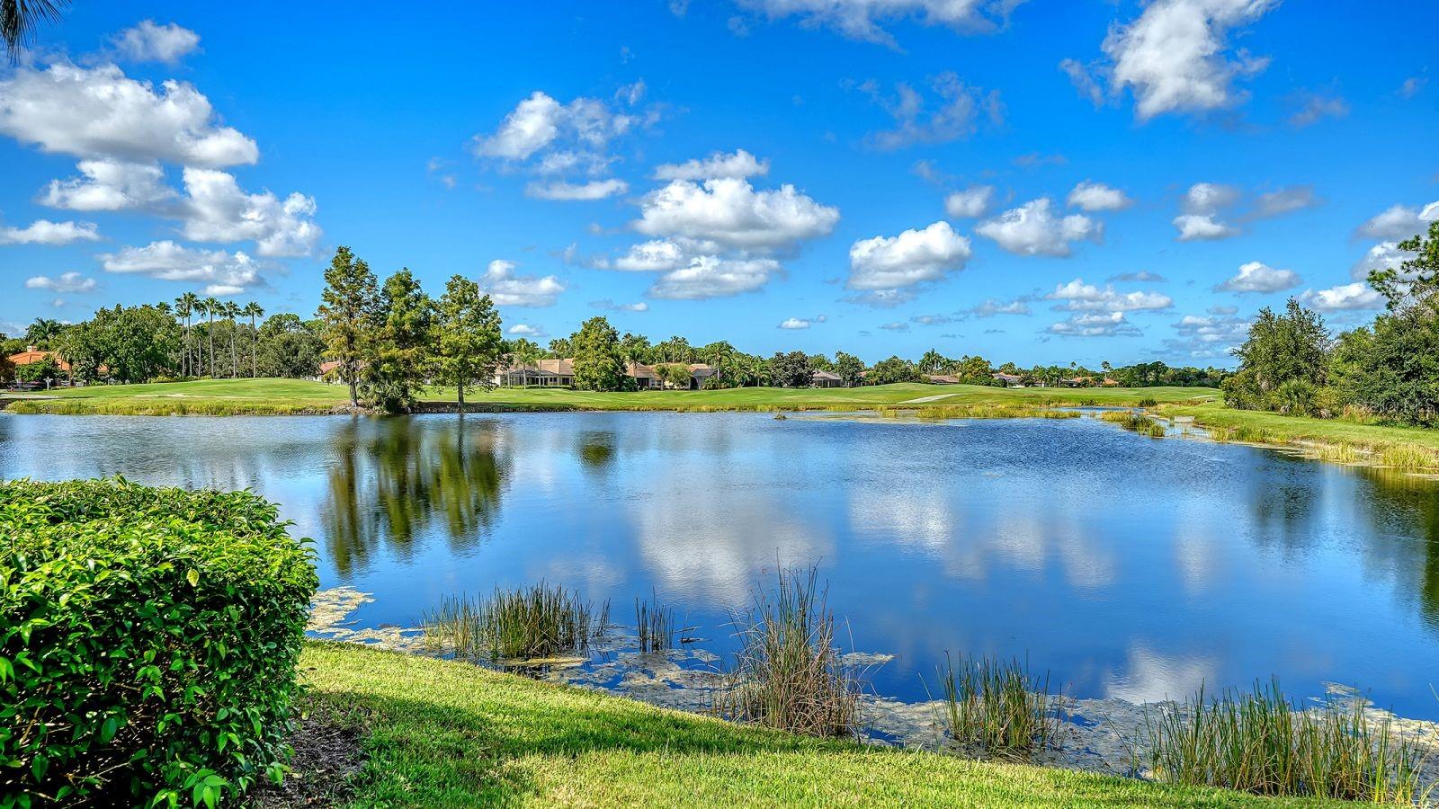 6734 PEBBLE BEACH WAY — photo 3