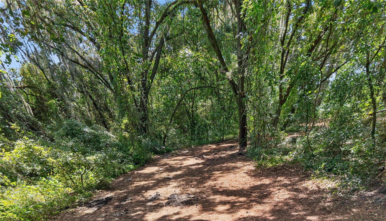00 W KNIGHTS GRIFFIN RD — photo 22