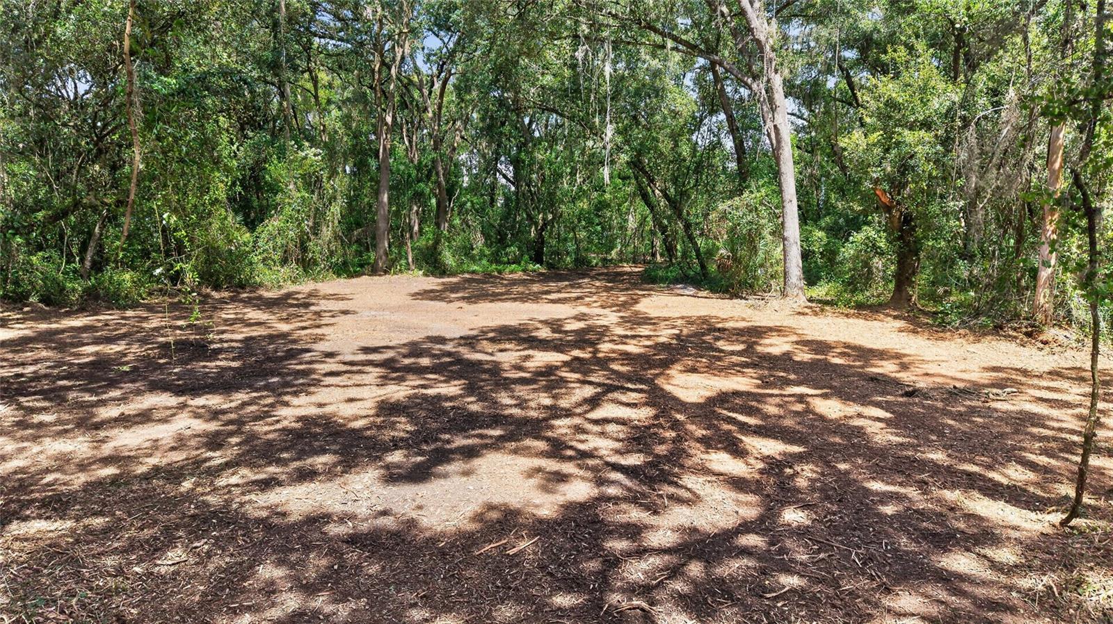 00 W KNIGHTS GRIFFIN RD — photo 28
