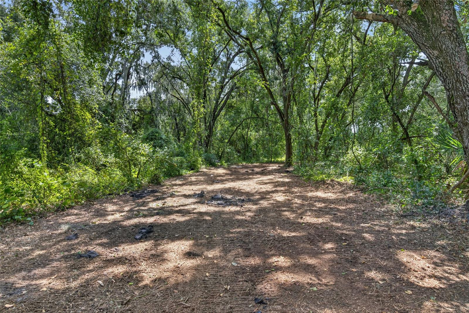 00 W KNIGHTS GRIFFIN RD — photo 17