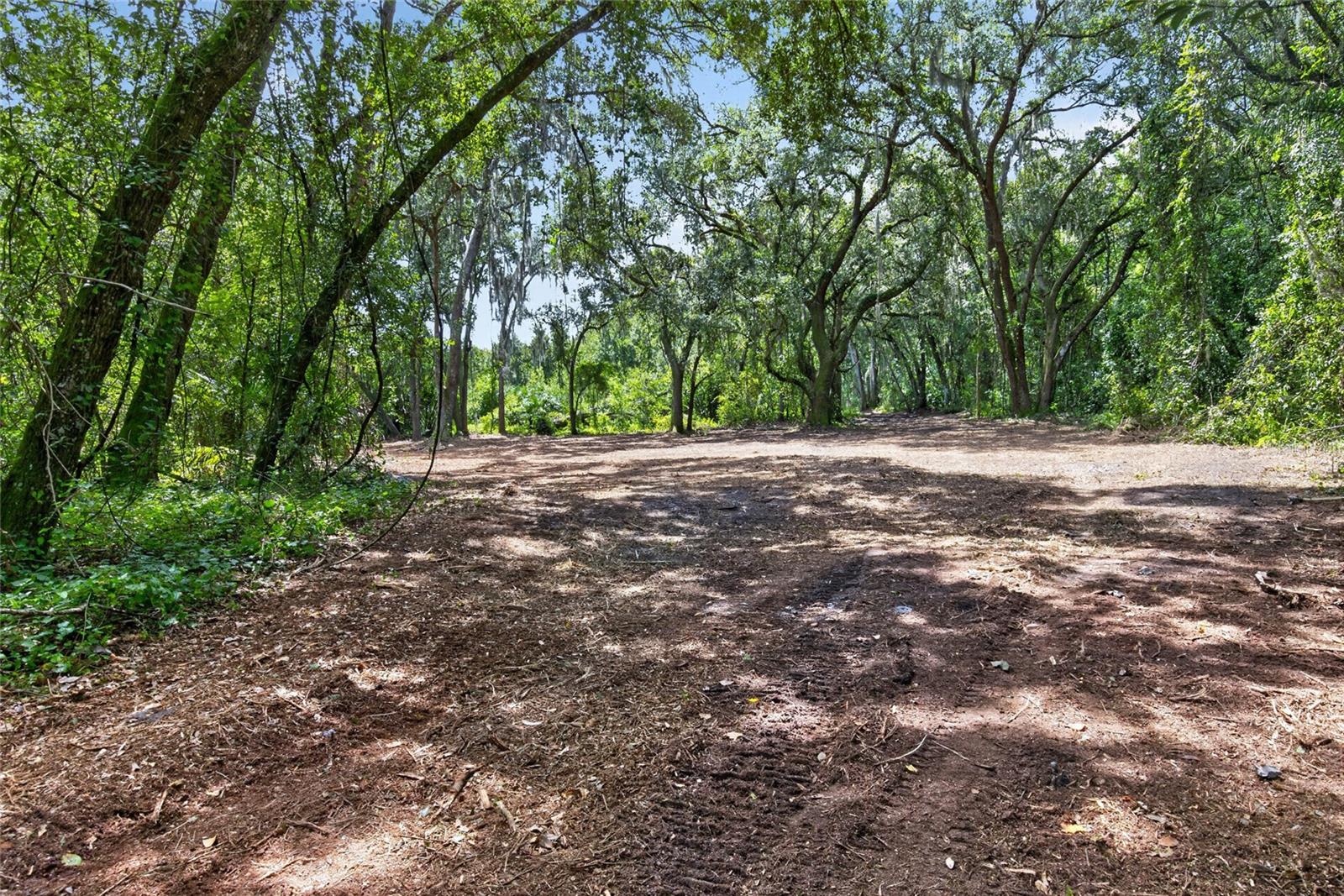 00 W KNIGHTS GRIFFIN RD — photo 12