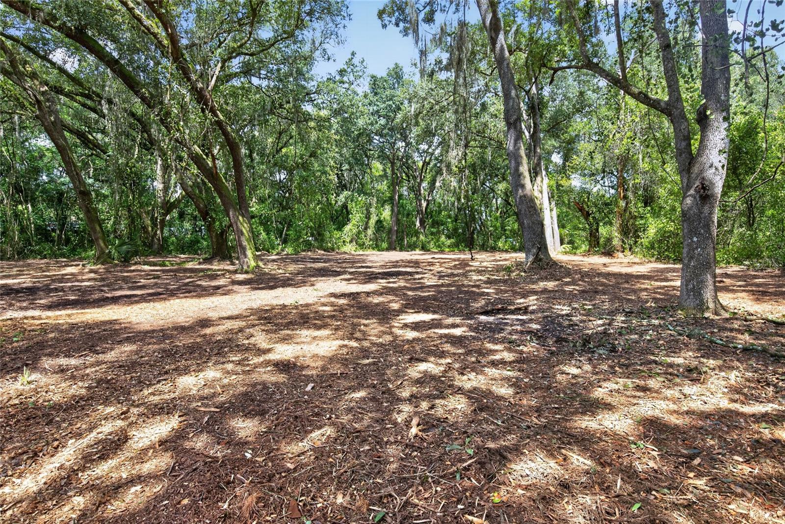 00 W KNIGHTS GRIFFIN RD — photo 15