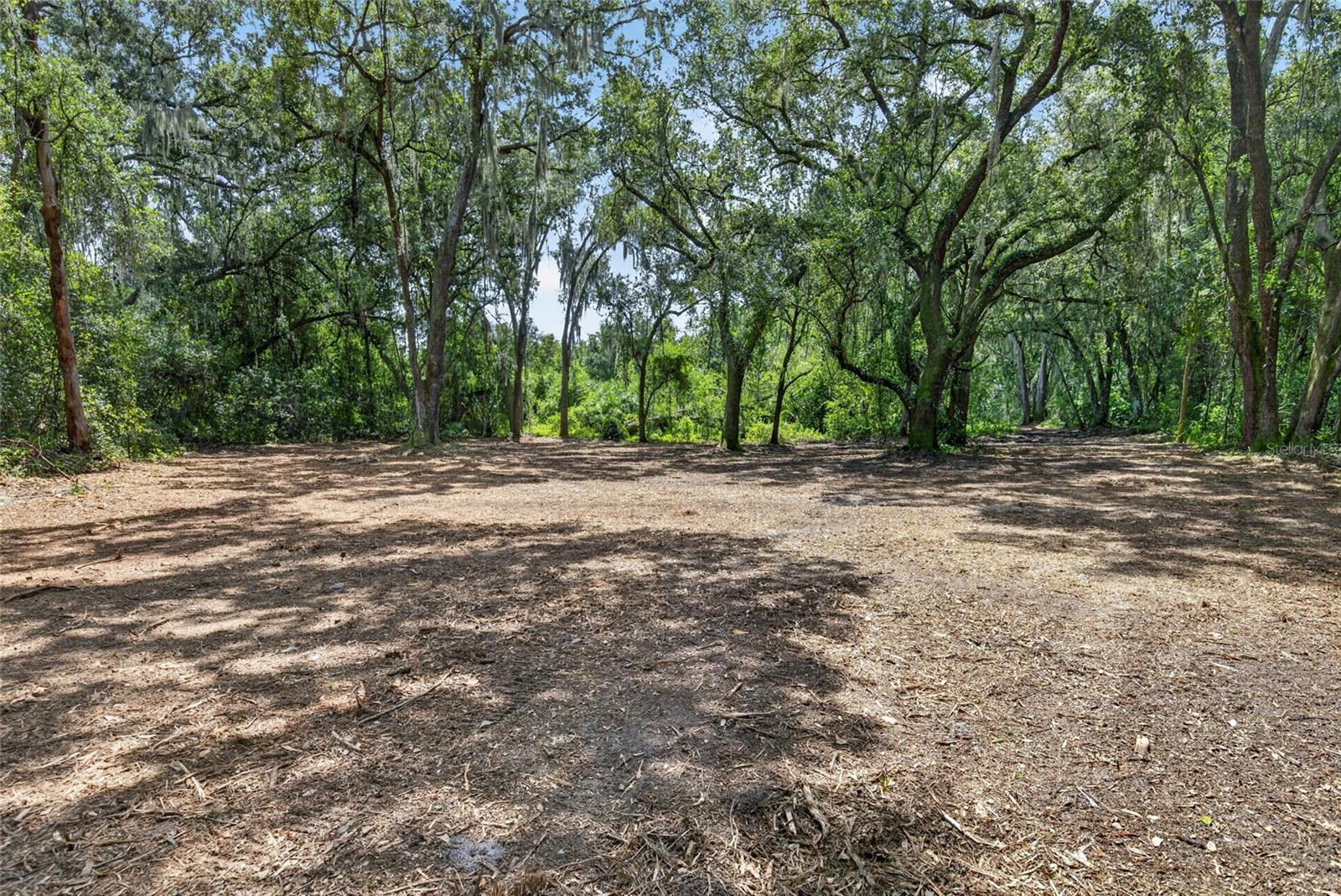 00 W KNIGHTS GRIFFIN RD — photo 5