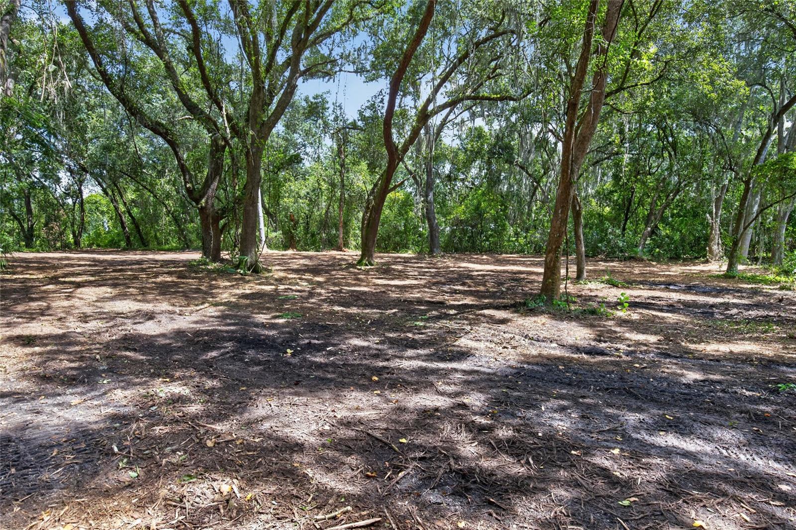 00 W KNIGHTS GRIFFIN RD — photo 8