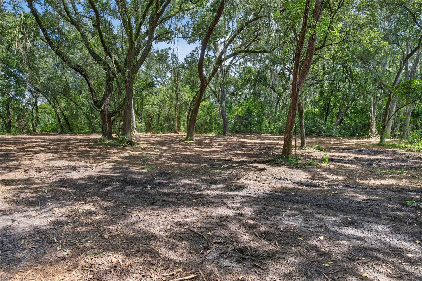 00 W KNIGHTS GRIFFIN RD — photo 16