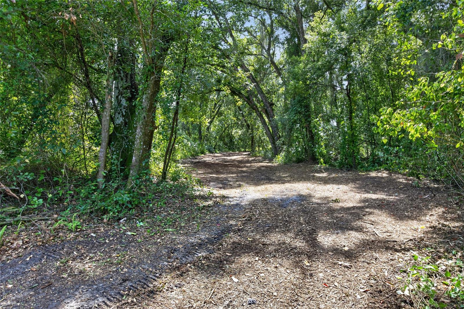 00 W KNIGHTS GRIFFIN RD — photo 11