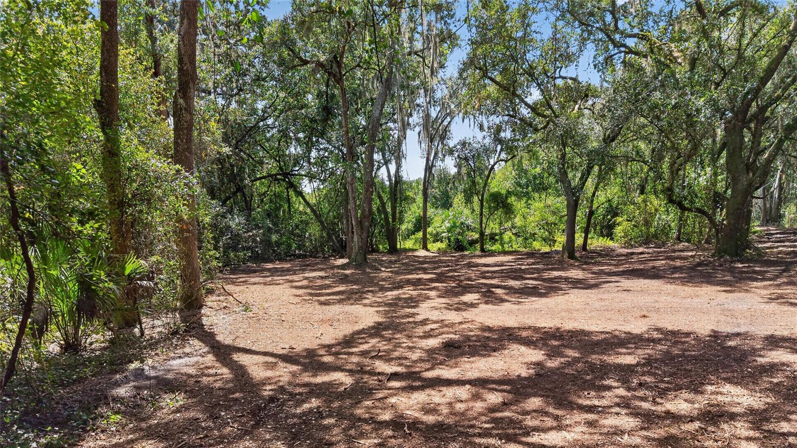 00 W KNIGHTS GRIFFIN RD — photo 24