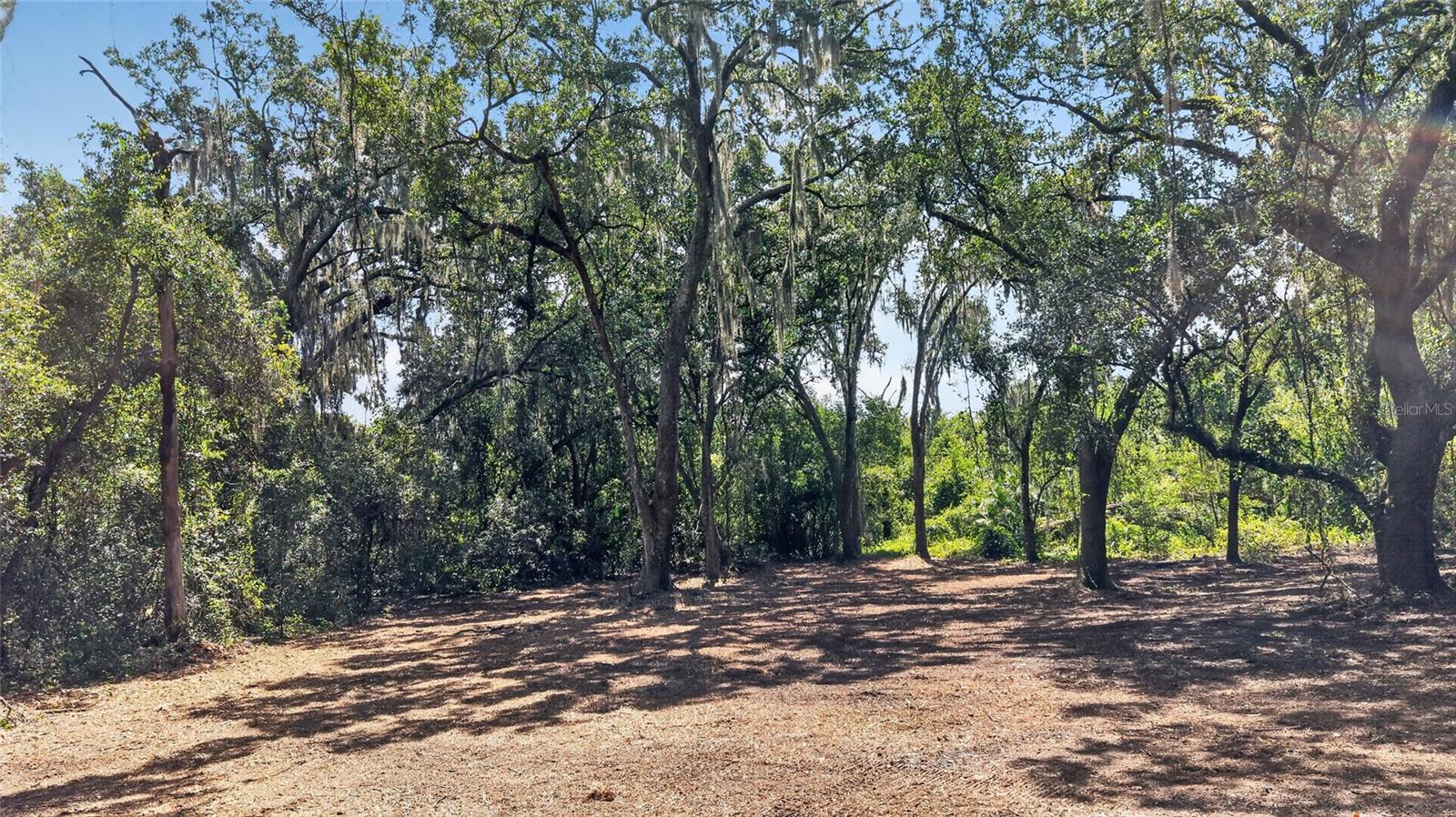 00 W KNIGHTS GRIFFIN RD — photo 25