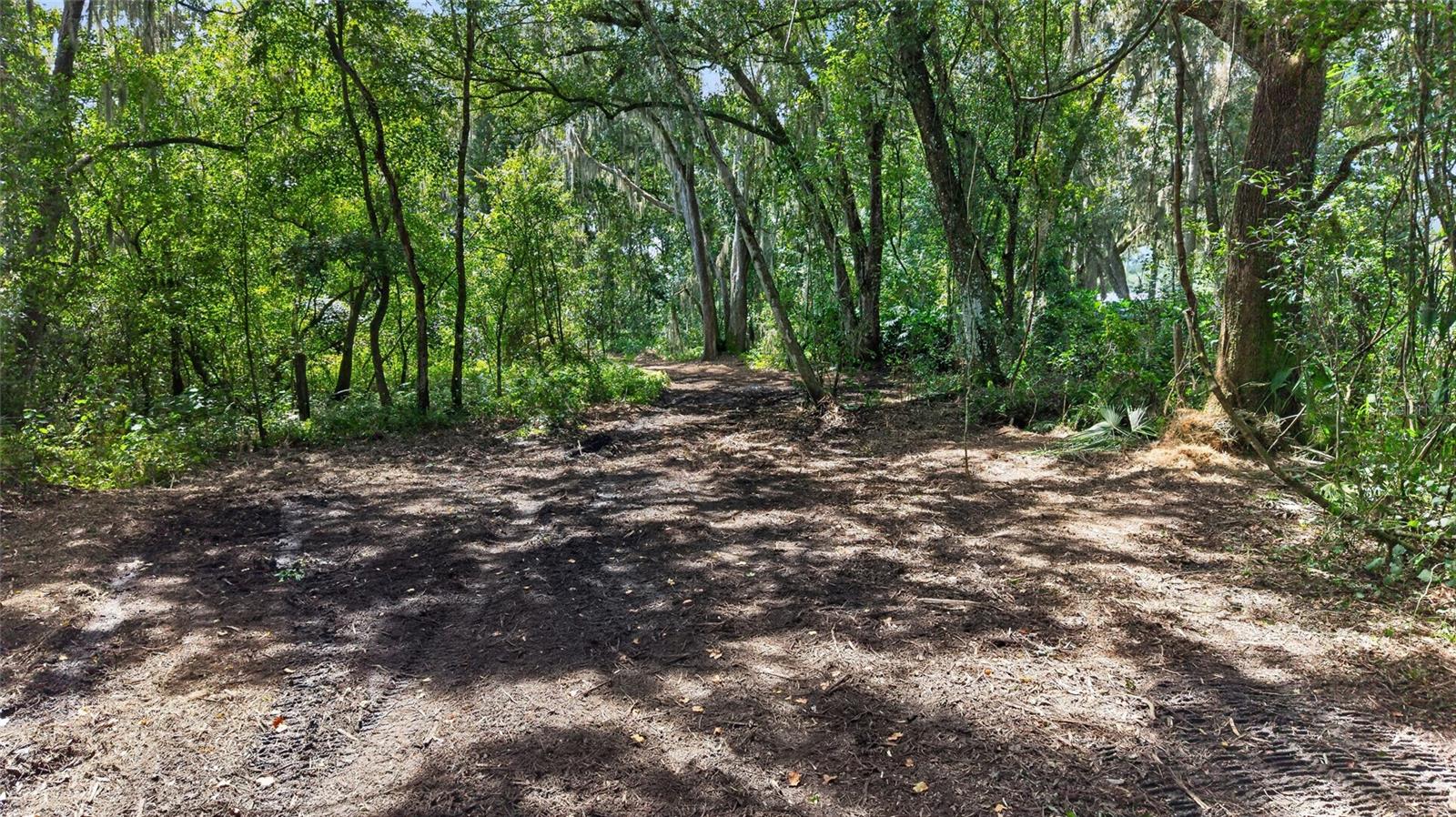 00 W KNIGHTS GRIFFIN RD — photo 30
