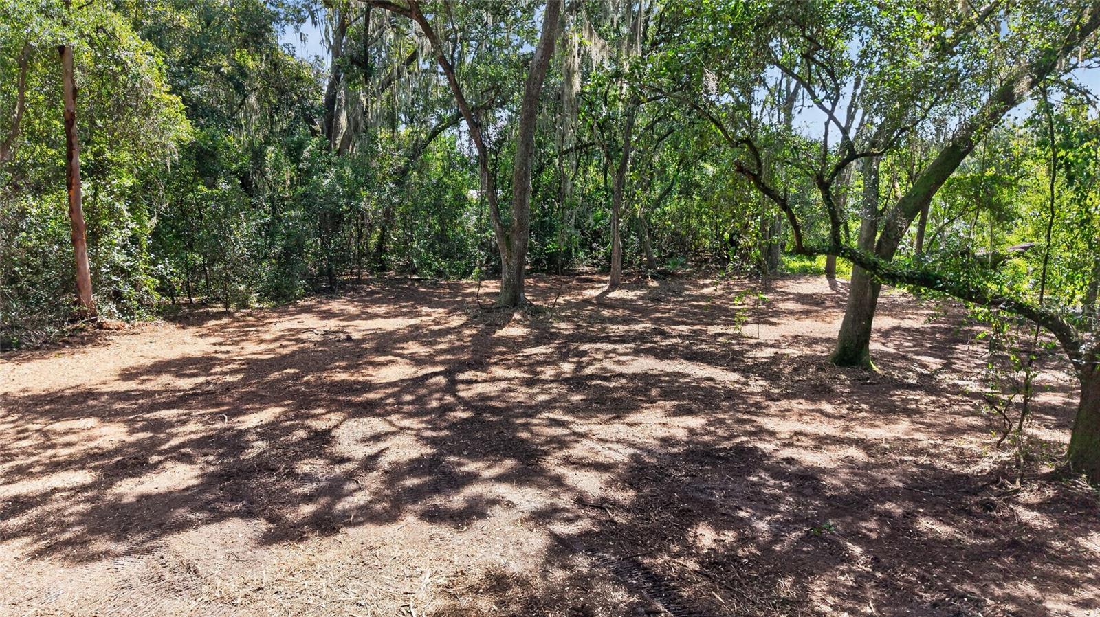 00 W KNIGHTS GRIFFIN RD — photo 10