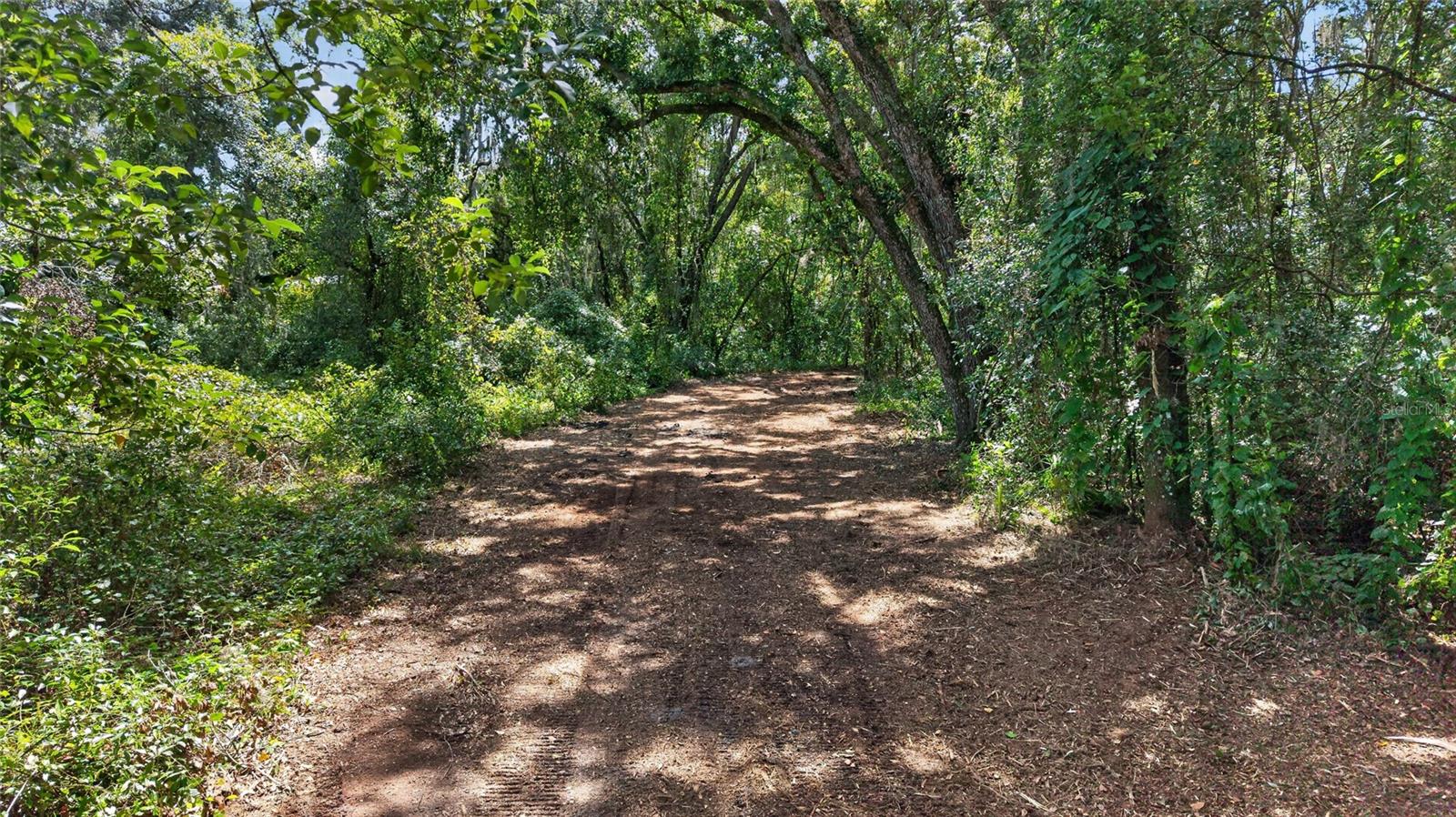 00 W KNIGHTS GRIFFIN RD — photo 21
