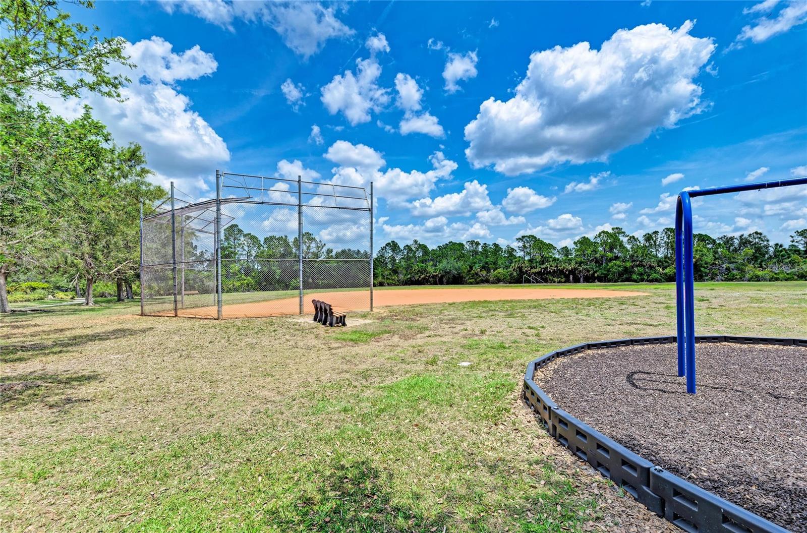 11794 GRANITE WOODS LOOP — photo 84