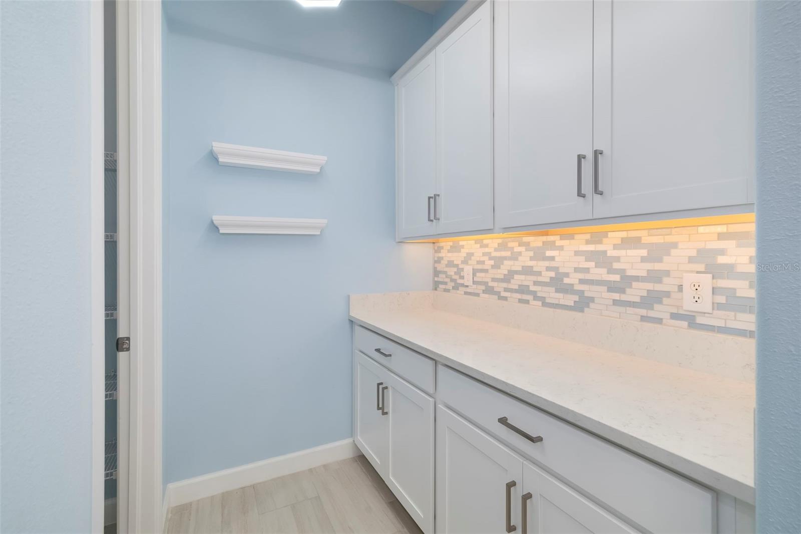 12338 VIOLET JASPER DR — photo 21