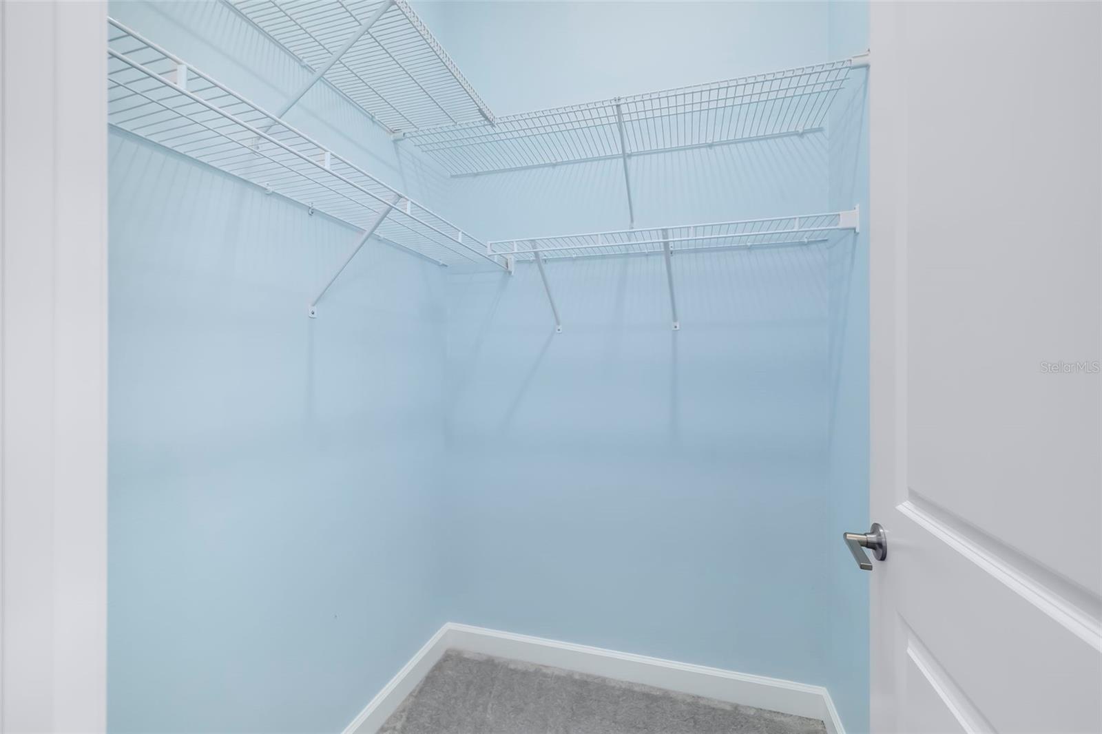 12338 VIOLET JASPER DR — photo 43