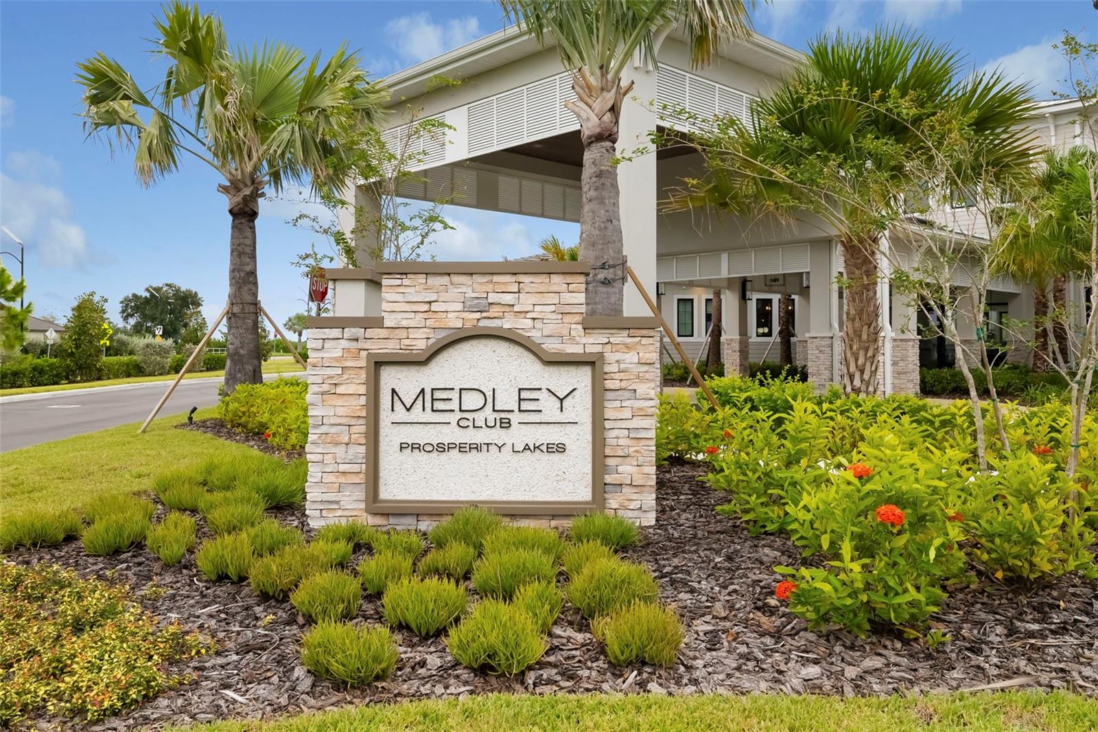 12338 VIOLET JASPER DR — photo 67