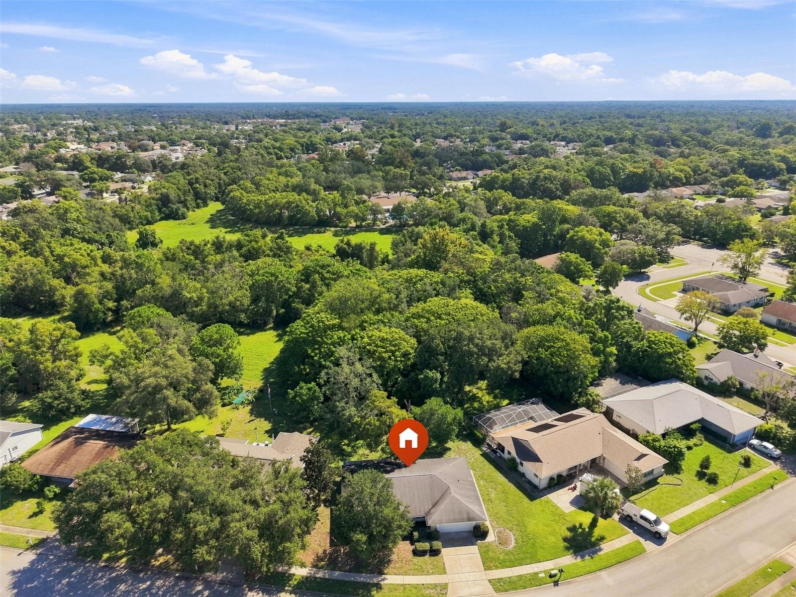 13300 SHADBERRY LN — photo 4
