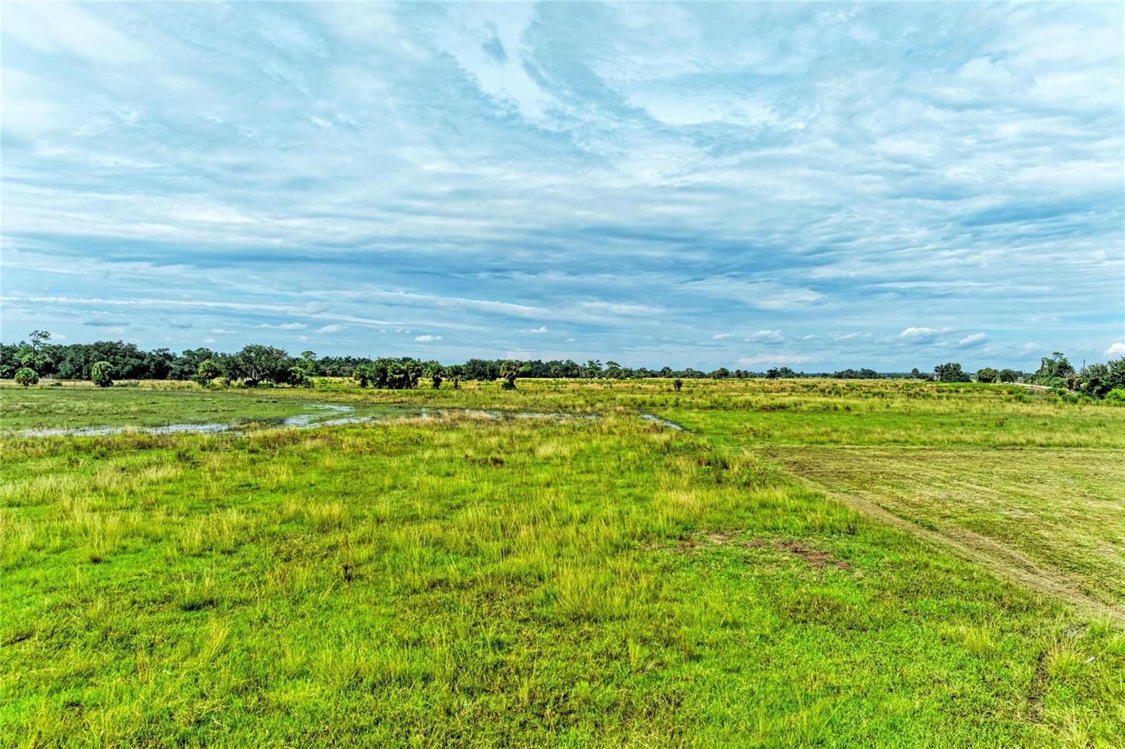 COKER GULLY RD — photo 28