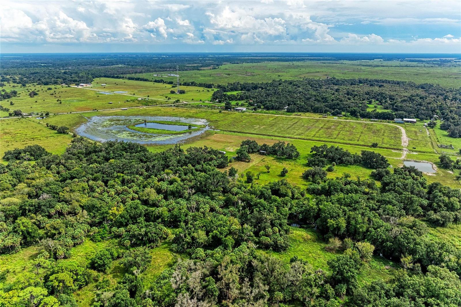 COKER GULLY RD — photo 12