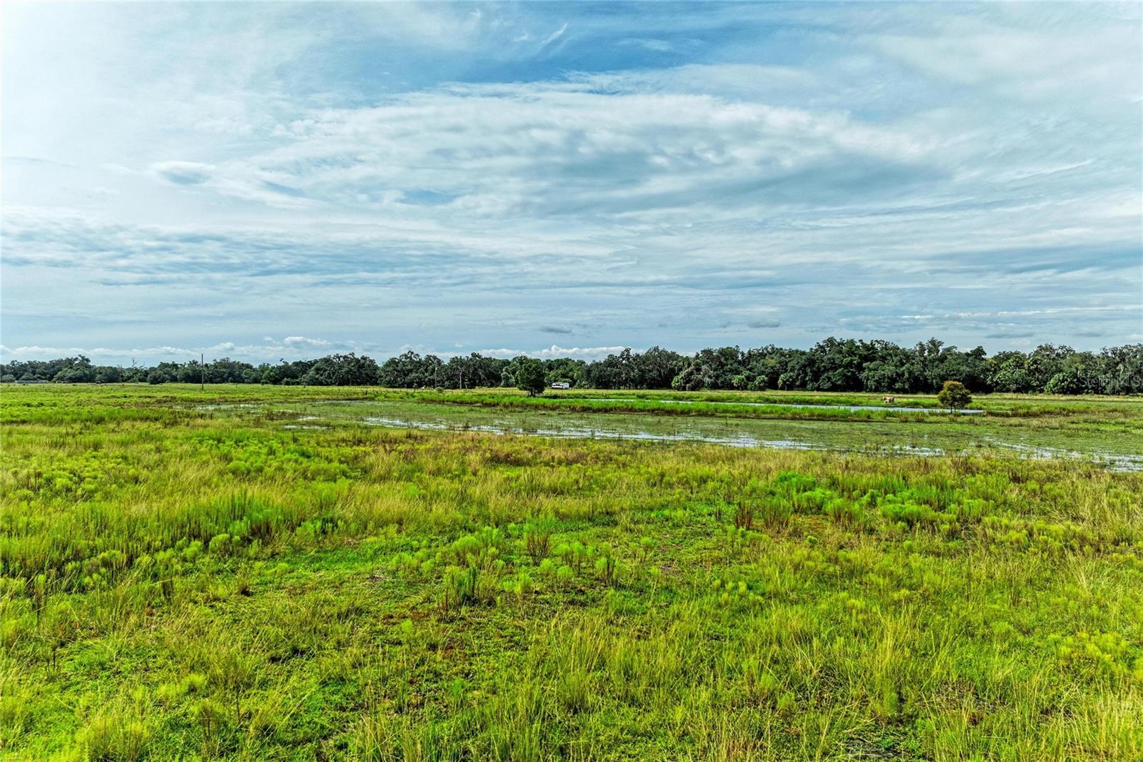 COKER GULLY RD — photo 3