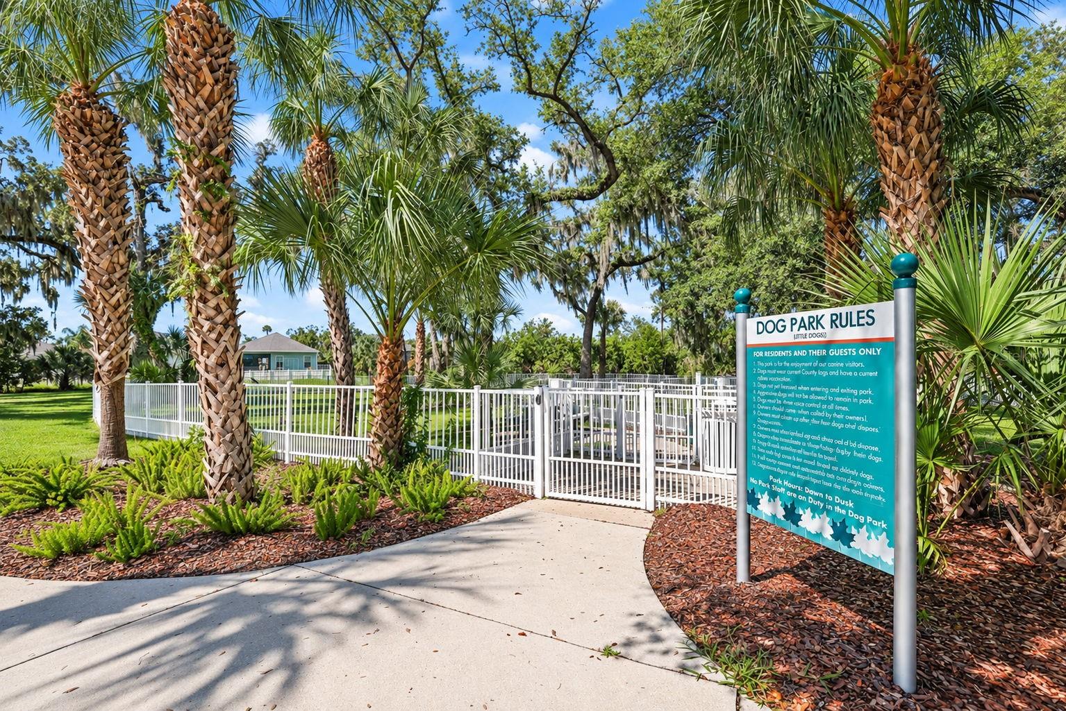 3820 SHIMMERING OAKS DR — photo 64