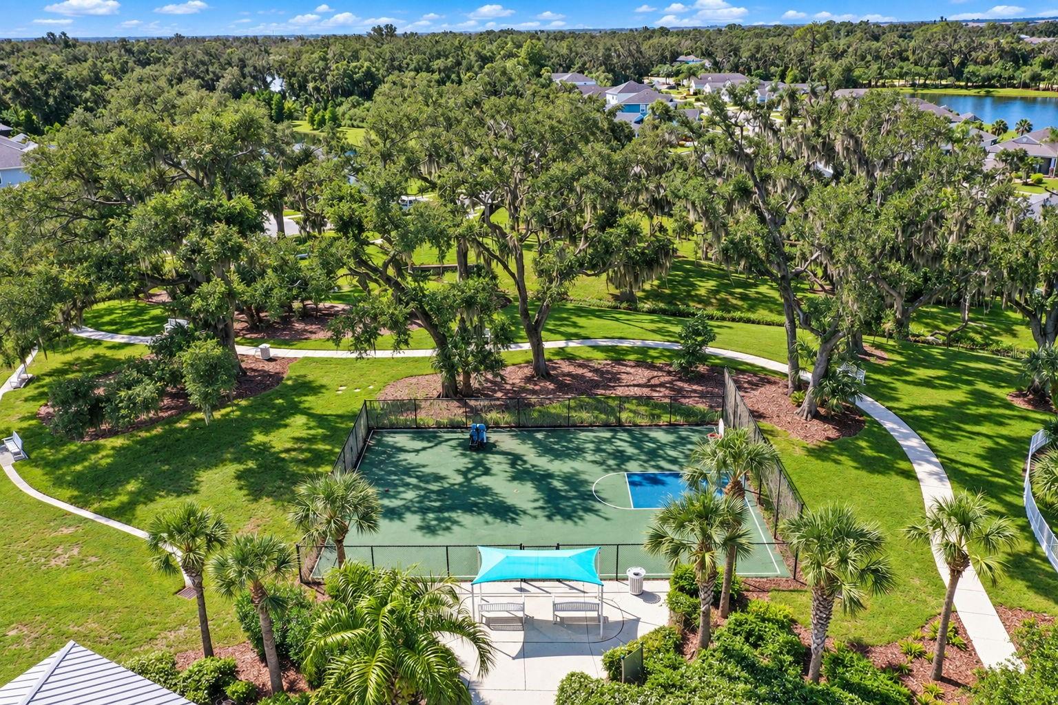 3820 SHIMMERING OAKS DR — photo 61