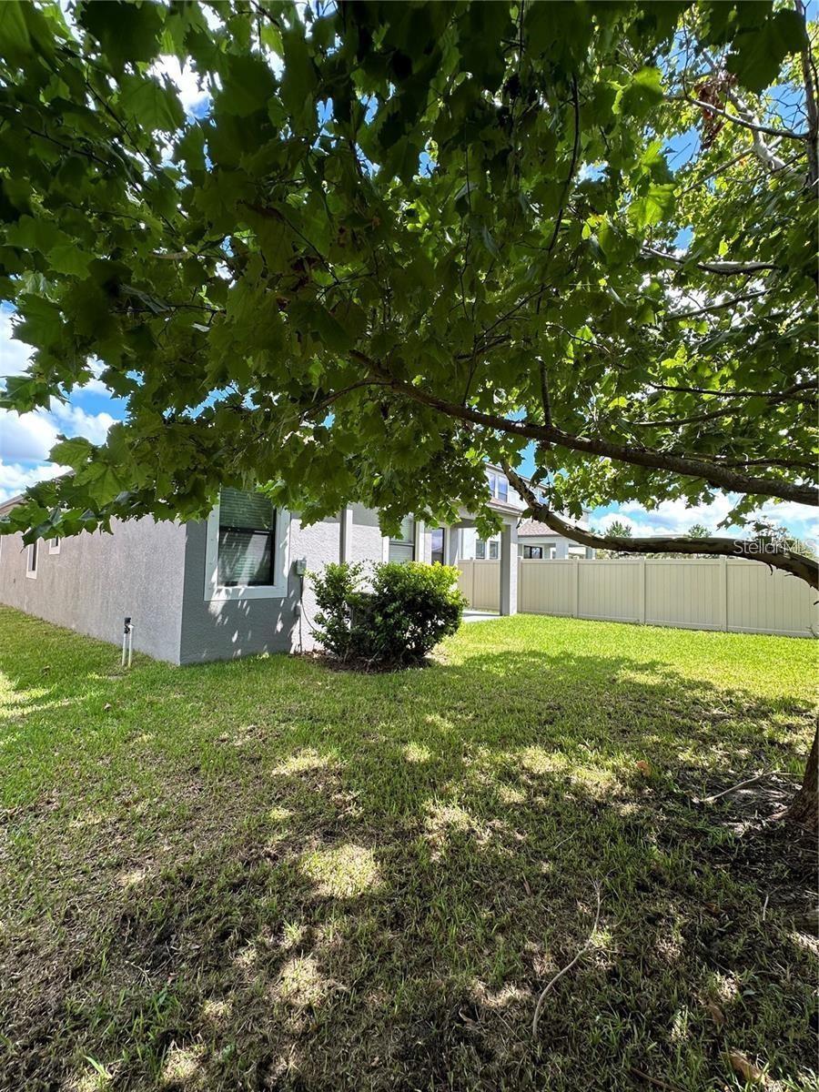 9845 IVORY DR — photo 39