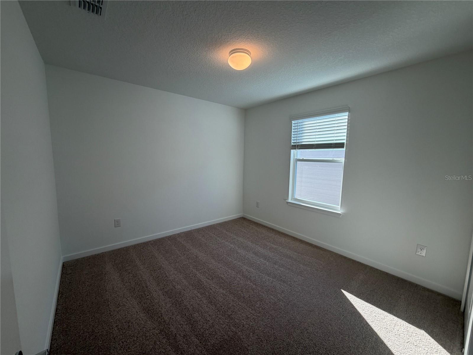 33424 BINDING TIES LN — photo 30
