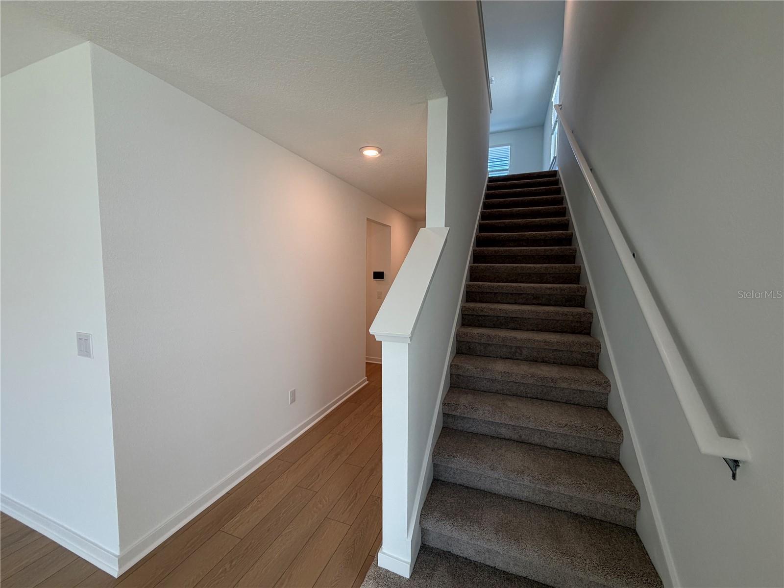 33424 BINDING TIES LN — photo 24