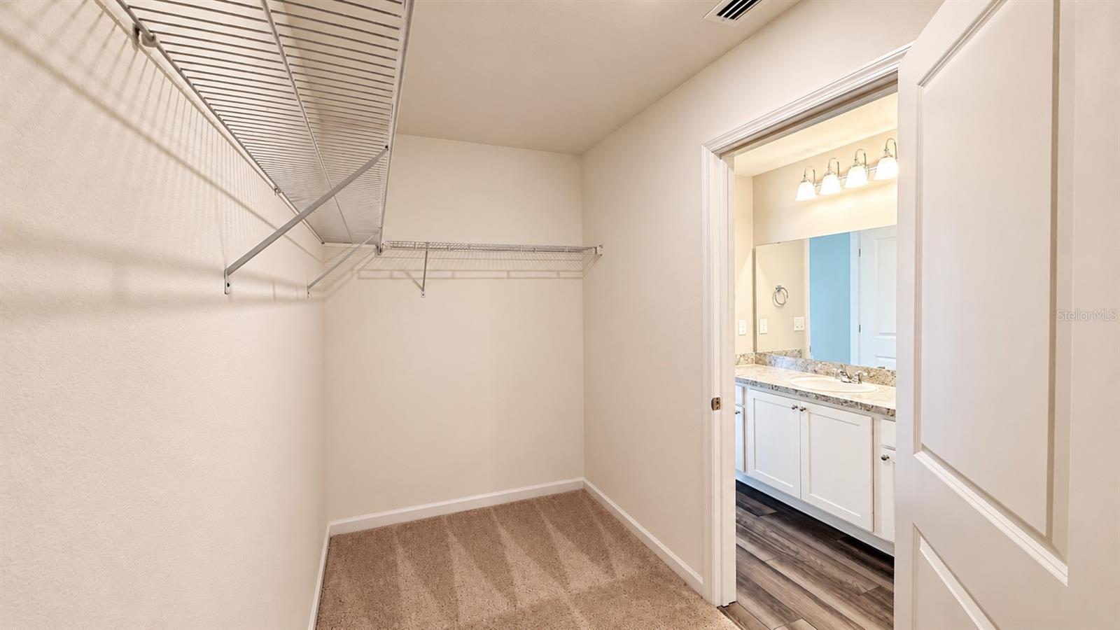35123 WHITE WATER LILY WAY — photo 16