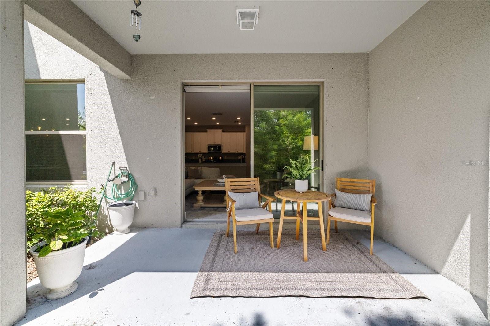 10029 CORSO MILANO DR — photo 38