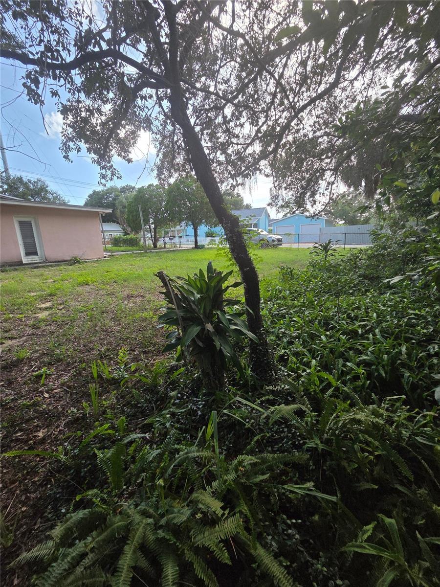 350 N LEVIS AVE — photo 46