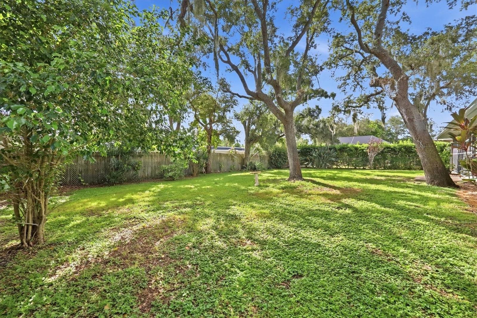 125 MIMOSA DR — photo 21