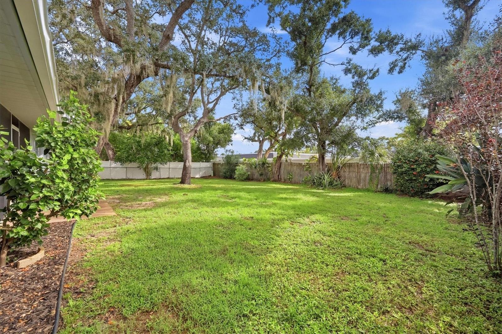 125 MIMOSA DR — photo 22
