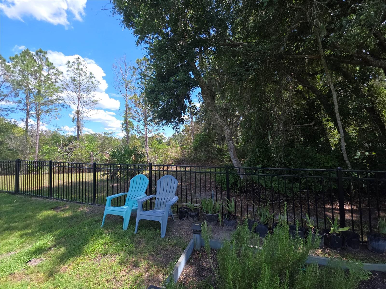 16117 STARLING CROSSING DR — photo 16