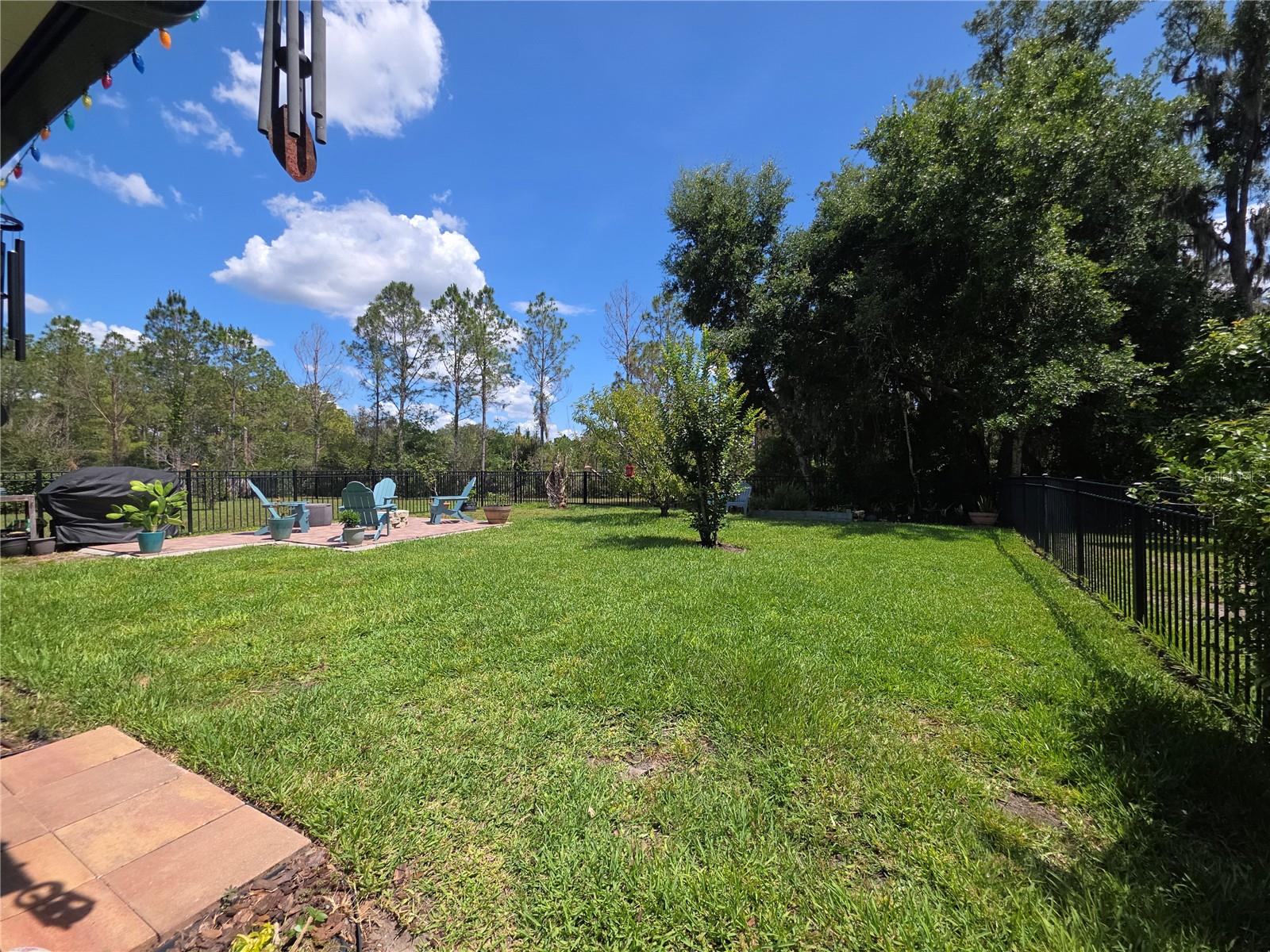 16117 STARLING CROSSING DR — photo 18