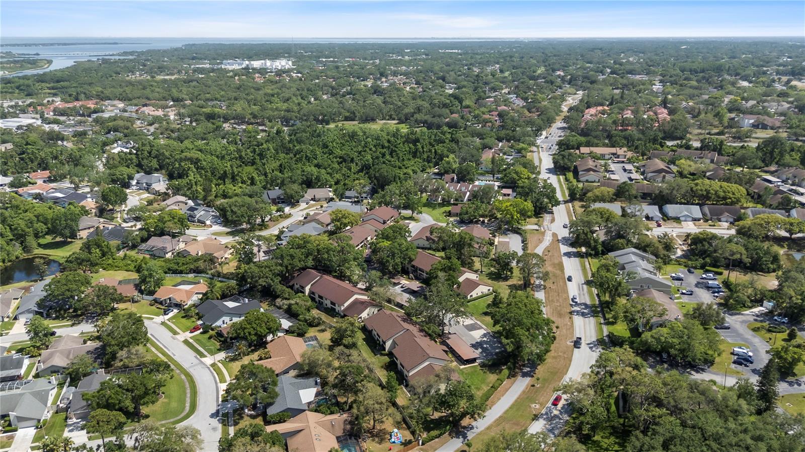3600 MAGNOLIA RIDGE CIR #1221 — photo 50
