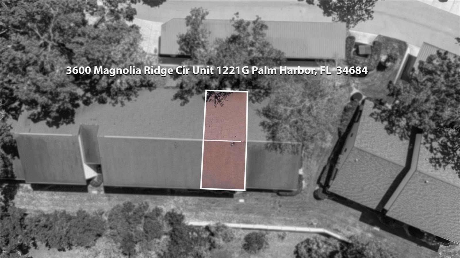3600 MAGNOLIA RIDGE CIR #1221 — photo 46