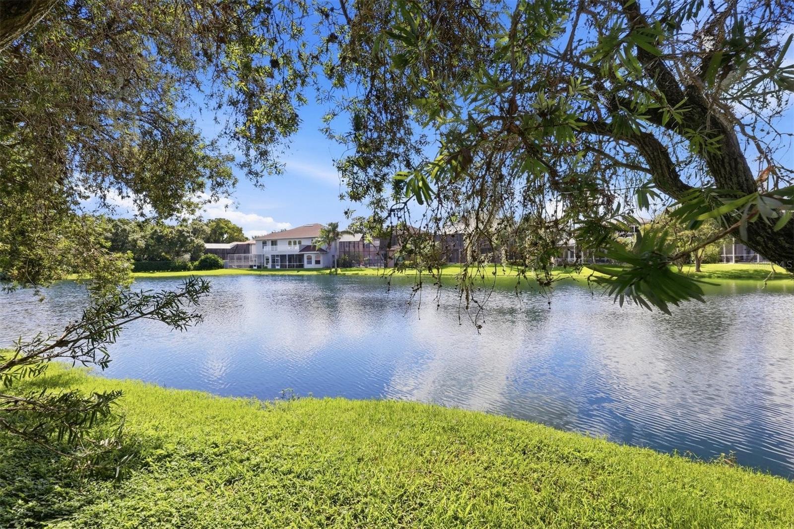 2242 CYPRESS HOLLOW CT — photo 34