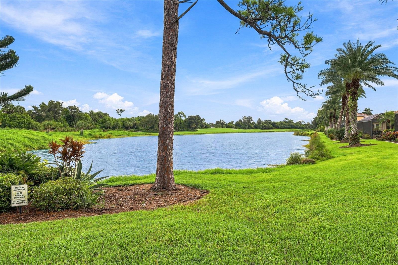 1645 CREEK NINE DR — photo 45