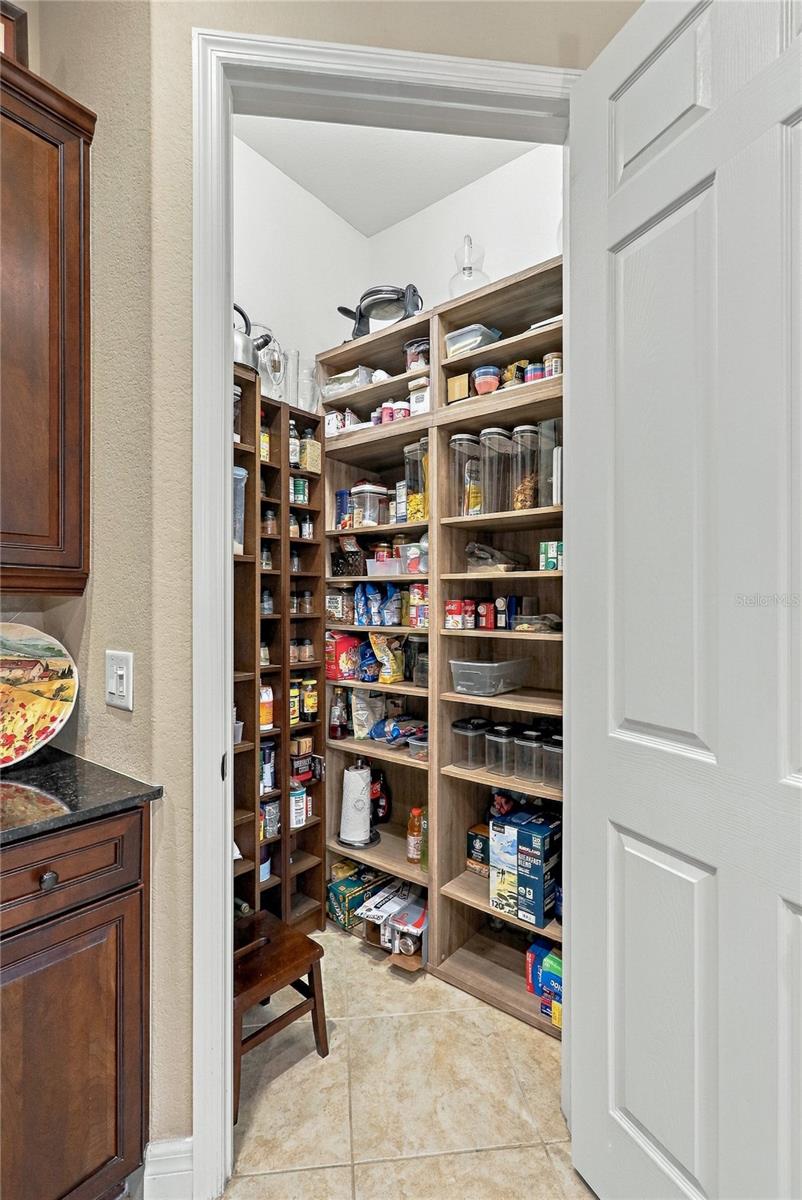 1645 CREEK NINE DR — photo 19