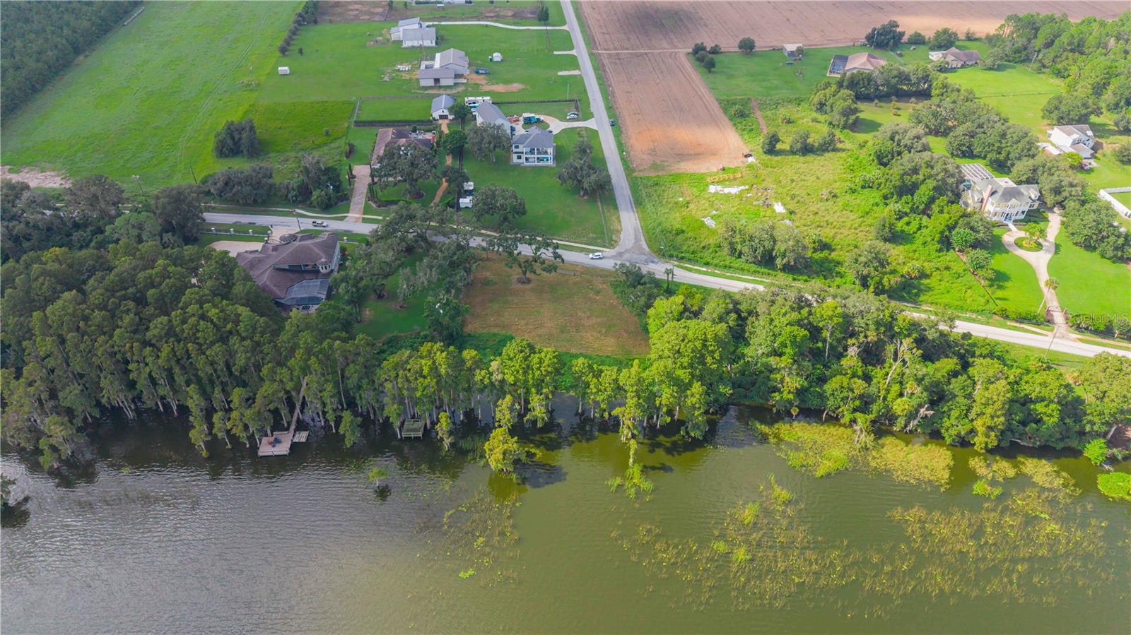 11702 THONOTOSASSA RD — photo 4