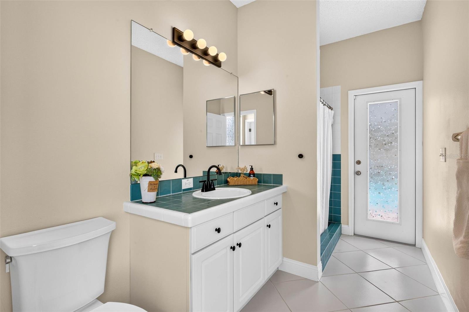 10007 VISTA POINTE DR — photo 50