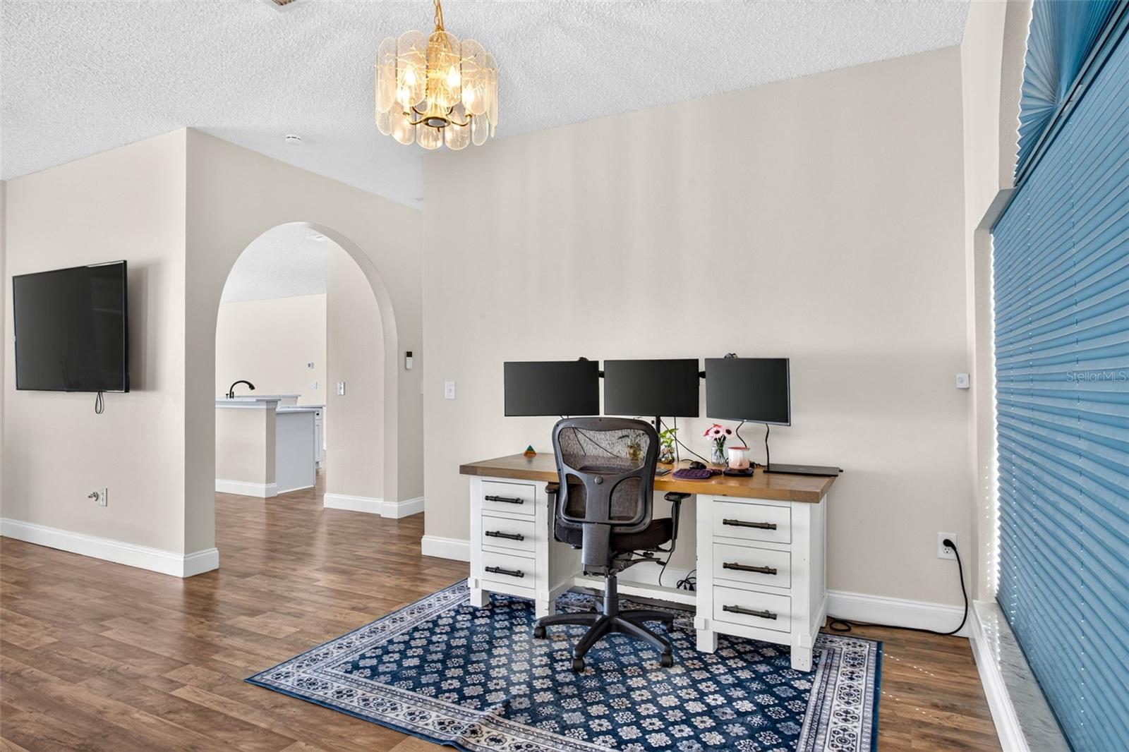 10007 VISTA POINTE DR — photo 14