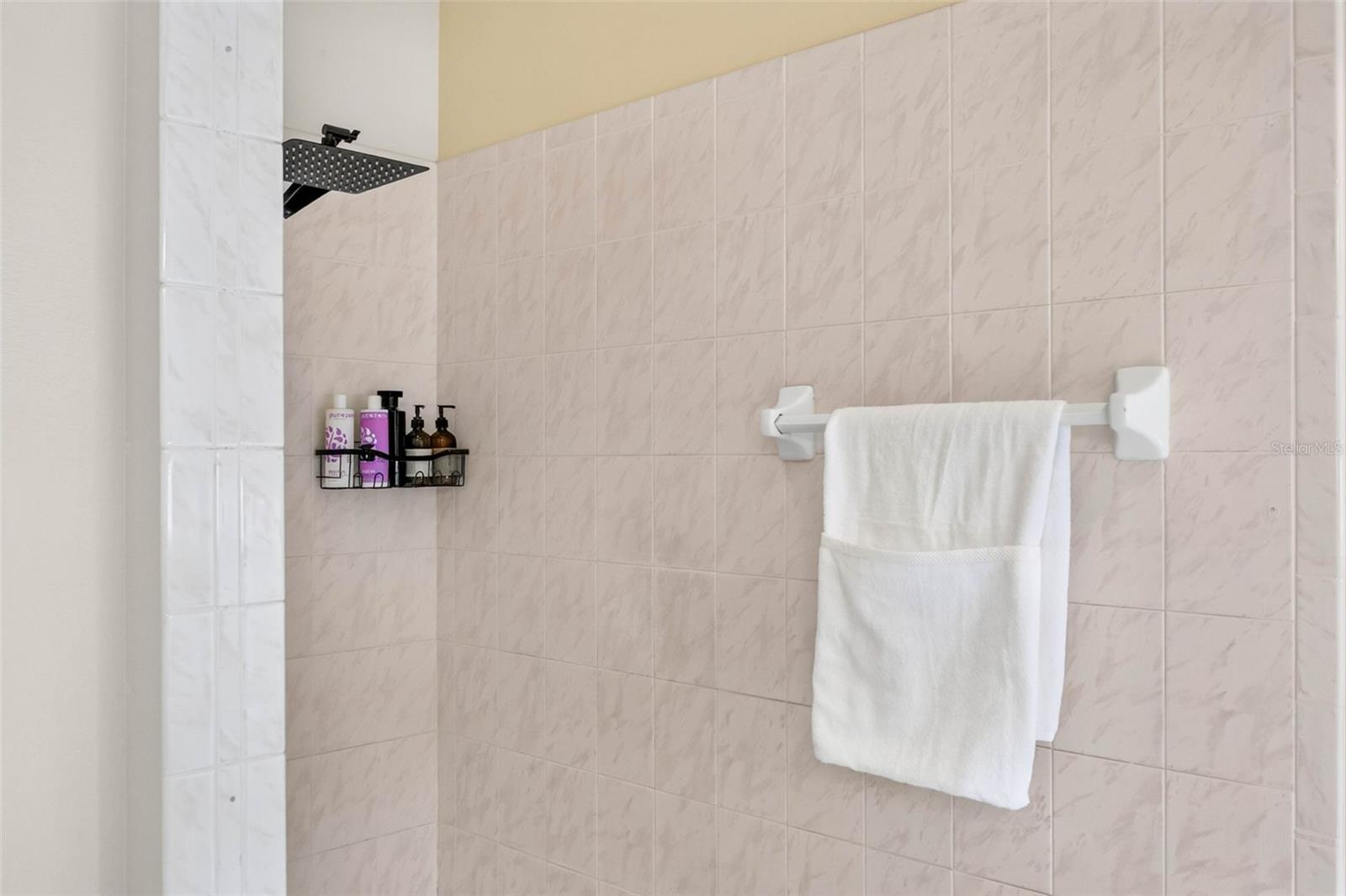 10007 VISTA POINTE DR — photo 41
