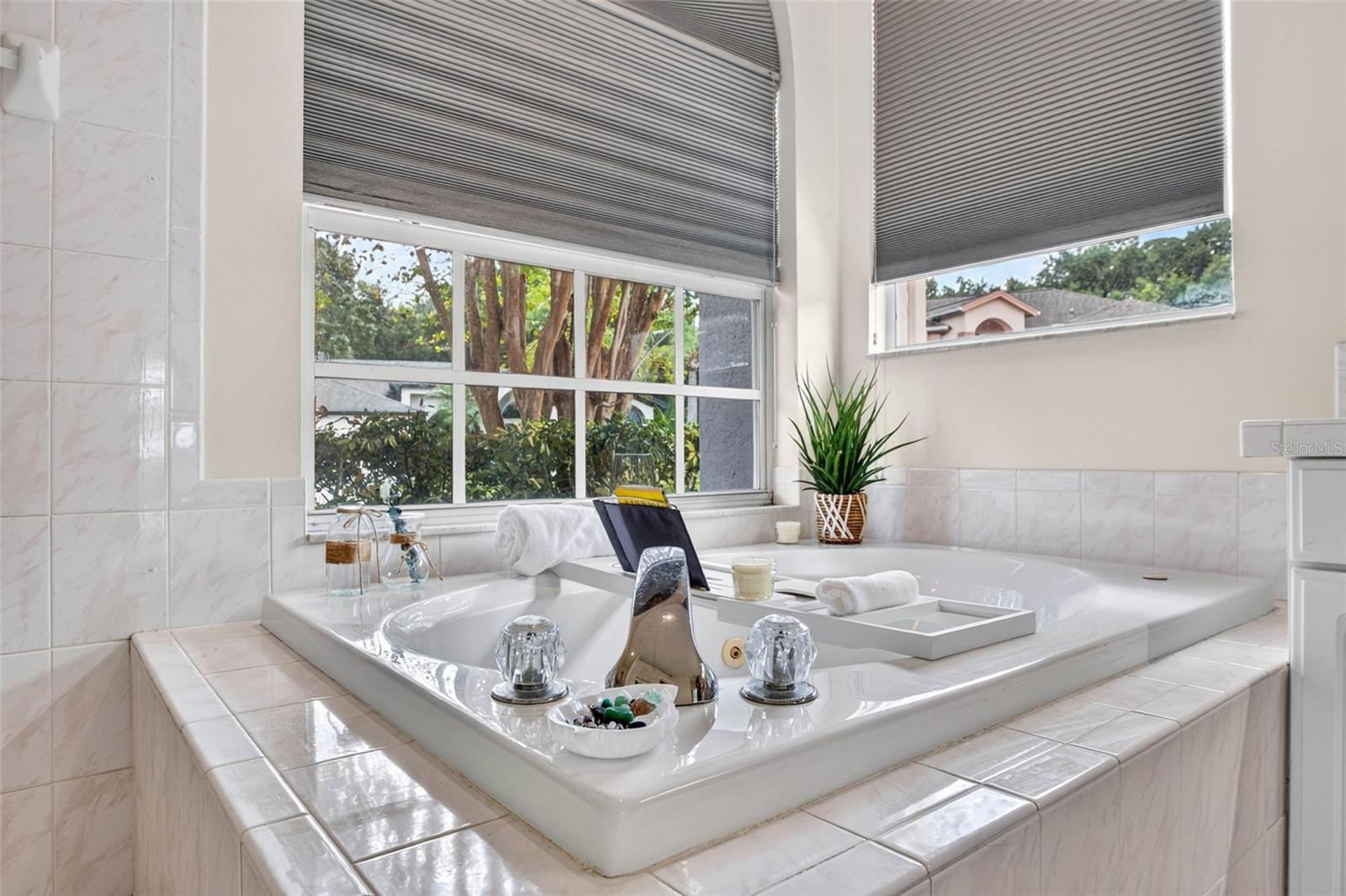10007 VISTA POINTE DR — photo 42